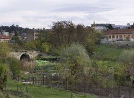 Ponceau de la première voie ferrée entre Saint-Étienne et Andrézieux