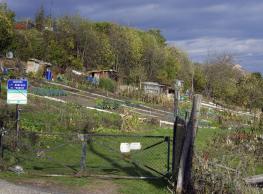 Jardins ouvriers des Mineurs de Couriot